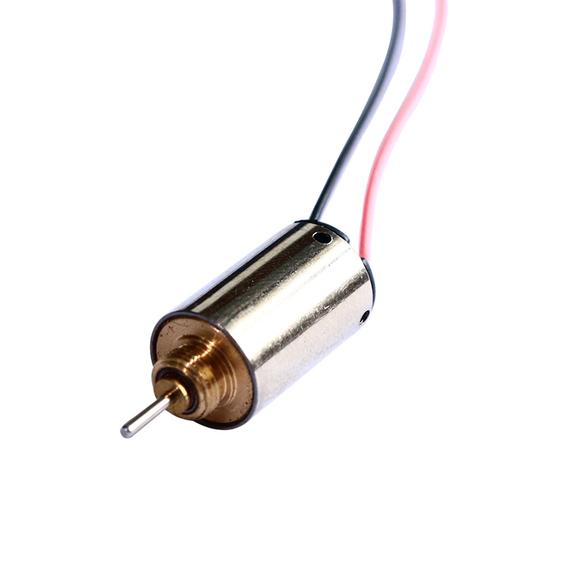 10mm Precious Metal Brush DC Motor
